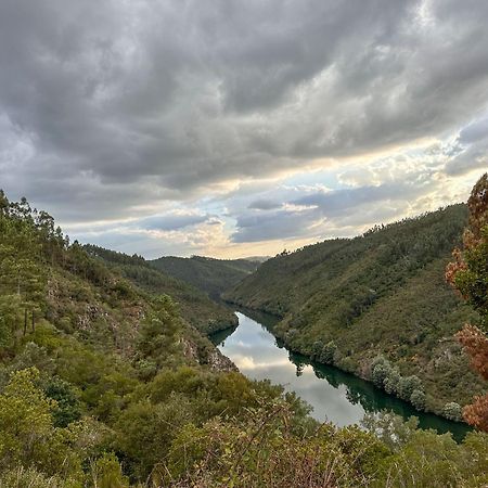 Готель Glamping Do Ze Cernache do Bonjardim Екстер'єр фото
