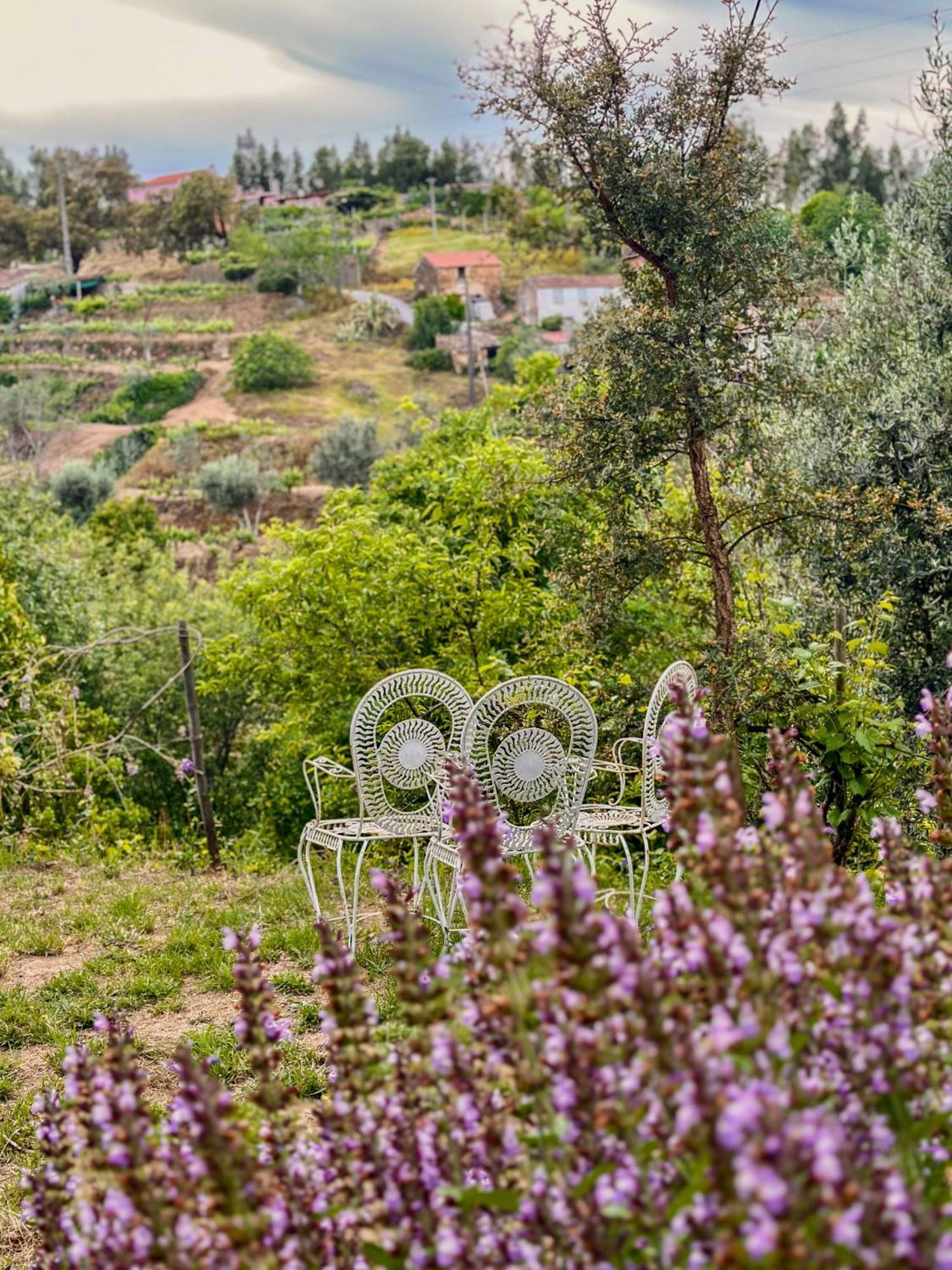 Готель Glamping Do Ze Cernache do Bonjardim Екстер'єр фото