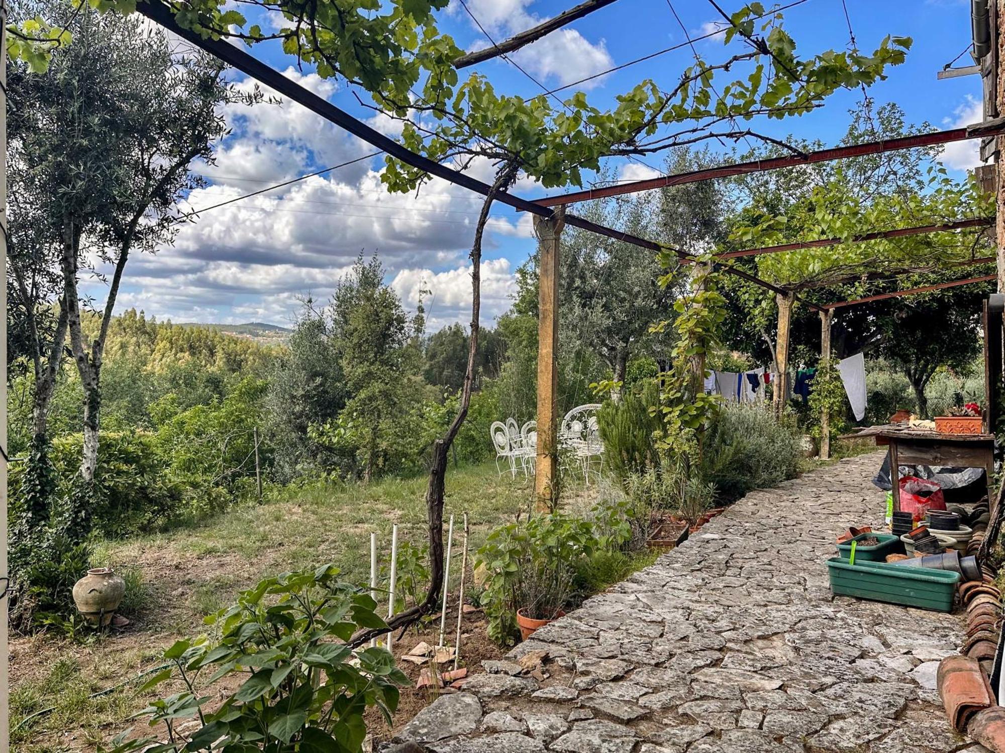 Готель Glamping Do Ze Cernache do Bonjardim Екстер'єр фото