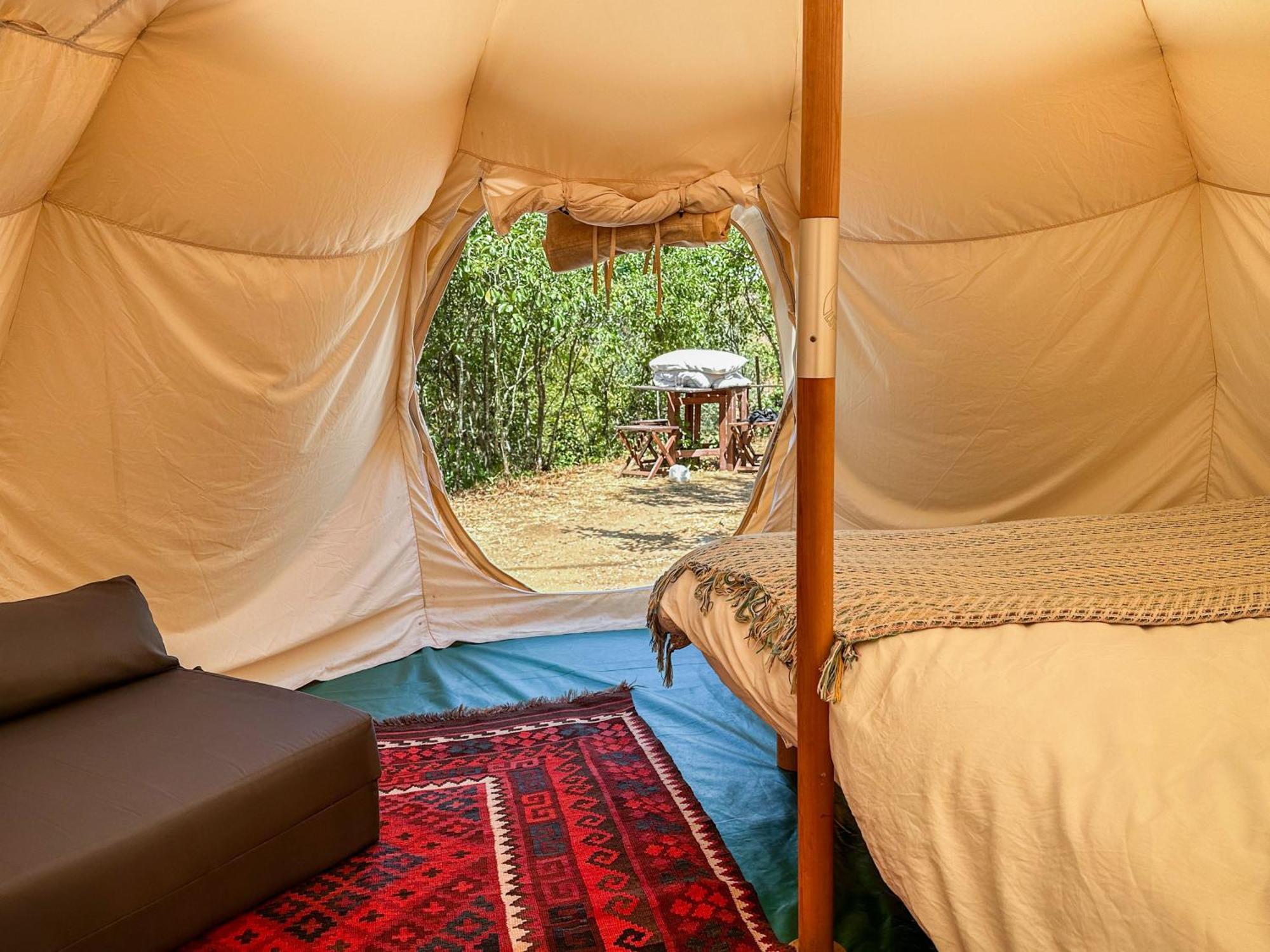 Готель Glamping Do Ze Cernache do Bonjardim Екстер'єр фото